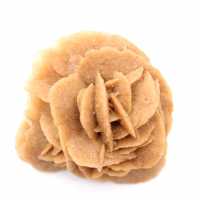 Marokkanische Wüstenrose: Natürlicher Gipsstrauß