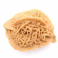 Exemplar der marokkanischen Wüstenrose: dichte Kristallisation