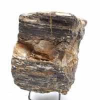 Mineralogisches Exemplar – Roher schwarzer Turmalin aus Madagaskar