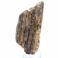 Schwarzer Turmalin aus Madagaskar – Studienexemplar