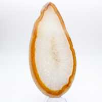 Exemplar aus poliertem Sedimentachat