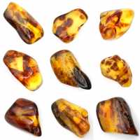 Kleiner polierter Bernsteinkiesel aus Litauen – Mineralogische Sammlung