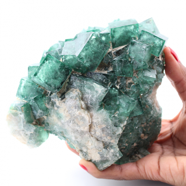 Kubische Kristalle aus grünem Fluorit auf massivem Fluorit