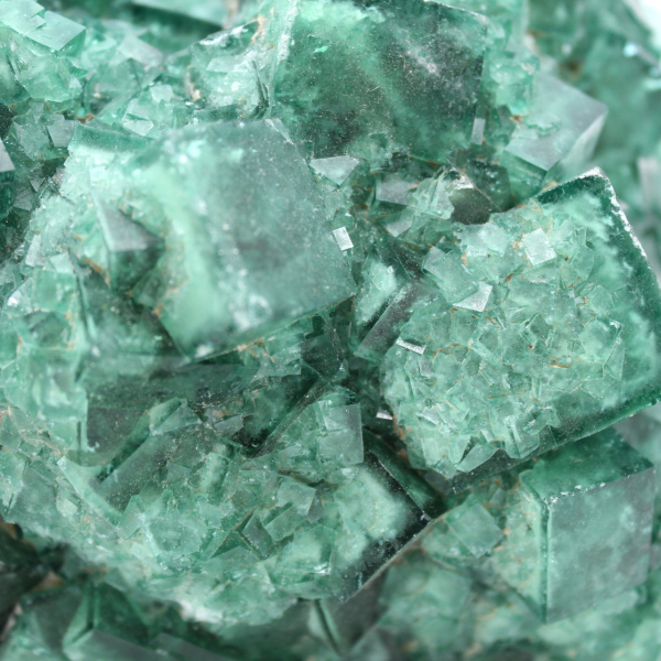 Kubische Fluoritkristalle auf Matrix 2,5 kilo