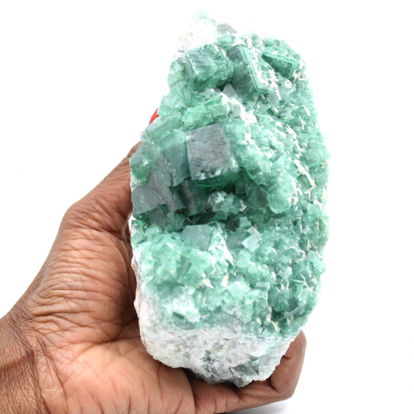 Roher grüner Fluorit in Kristallen auf Matrix