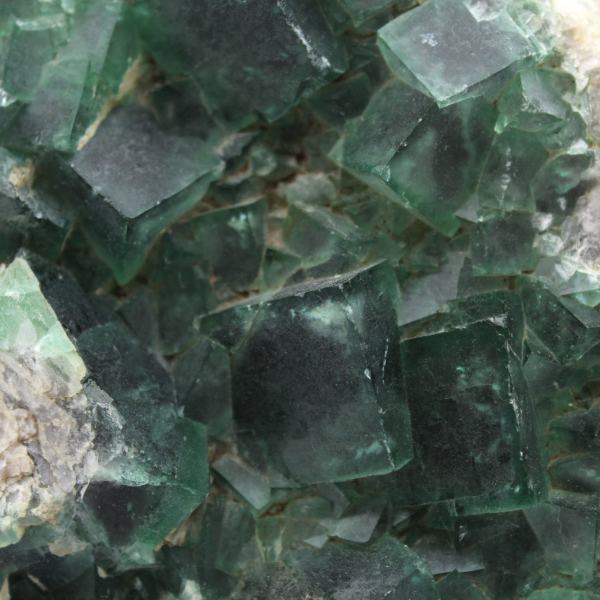 Kubische fluoritkristalle auf ganggestein