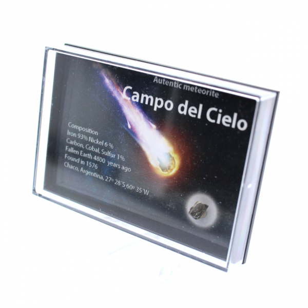 Campo Del Cielo-Meteorit