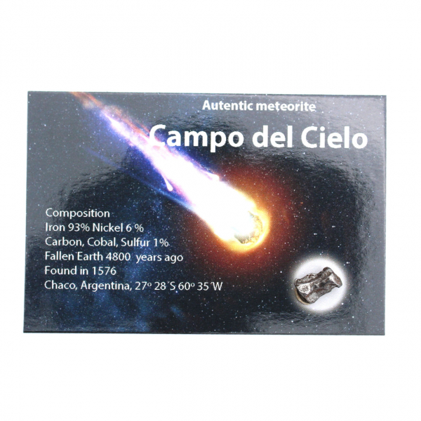 Campo del Cielo-Meteorit