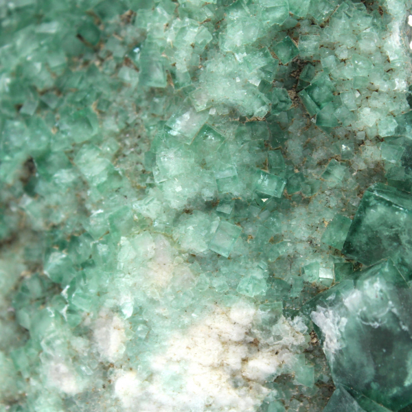 Rohe fluoritkristalle auf gangart