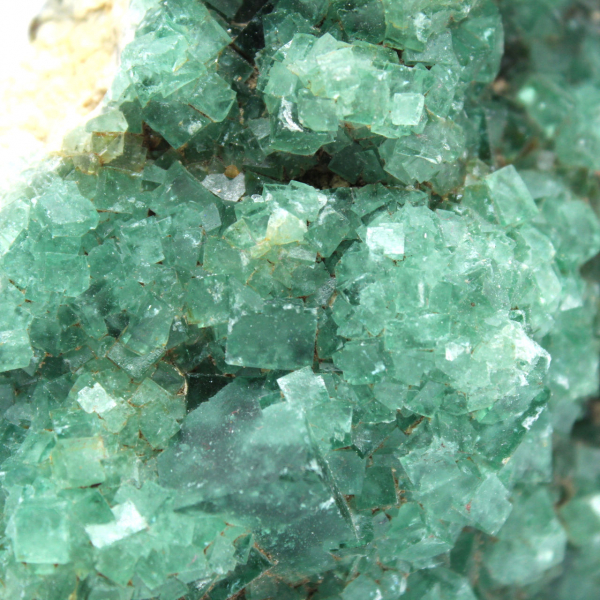 Rohe grüne fluoritkristalle auf gangart