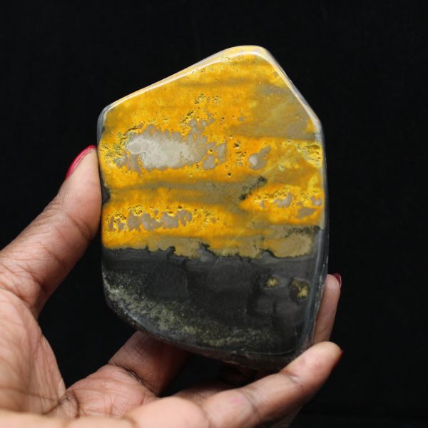 Bumblebee Polished Indonesia Kollektion