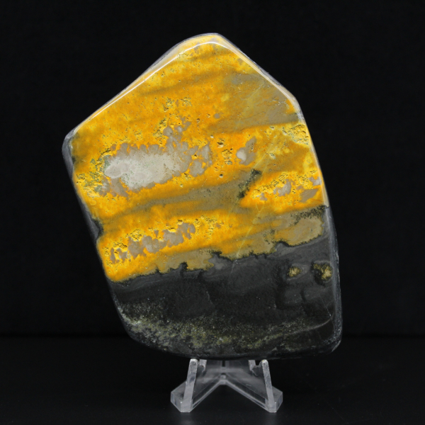 Bumblebee Polished Indonesia Kollektion