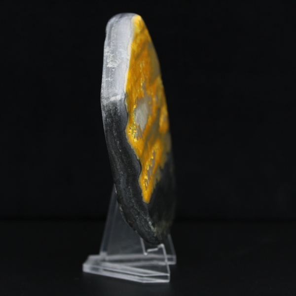 Bumblebee Polished Indonesia Kollektion