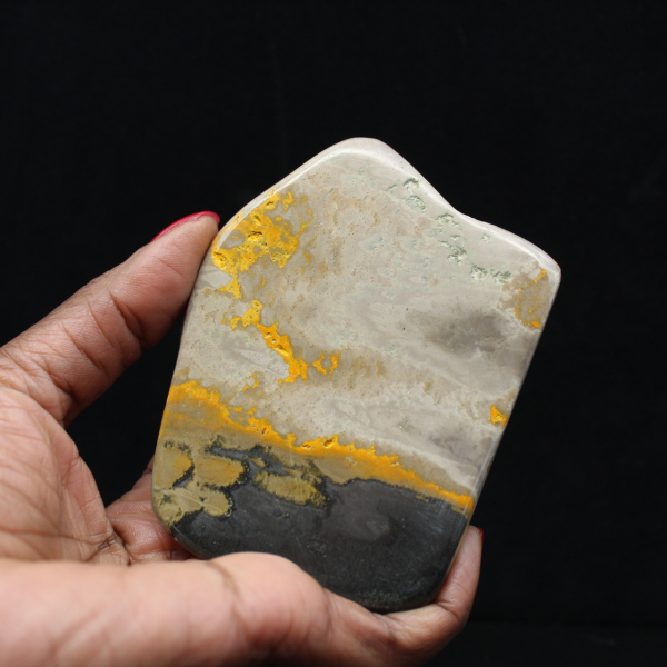 Echtheitszertifikat für Jasper-Hummel-Exemplare