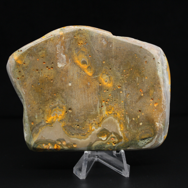 Echtheitszertifikat für Jasper-Hummel-Exemplare