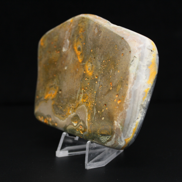 Echtheitszertifikat für Jasper-Hummel-Exemplare