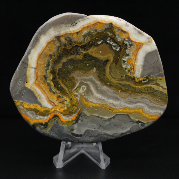 Polierte Jaspis-Hummel-Ornament, Indonesien, selten