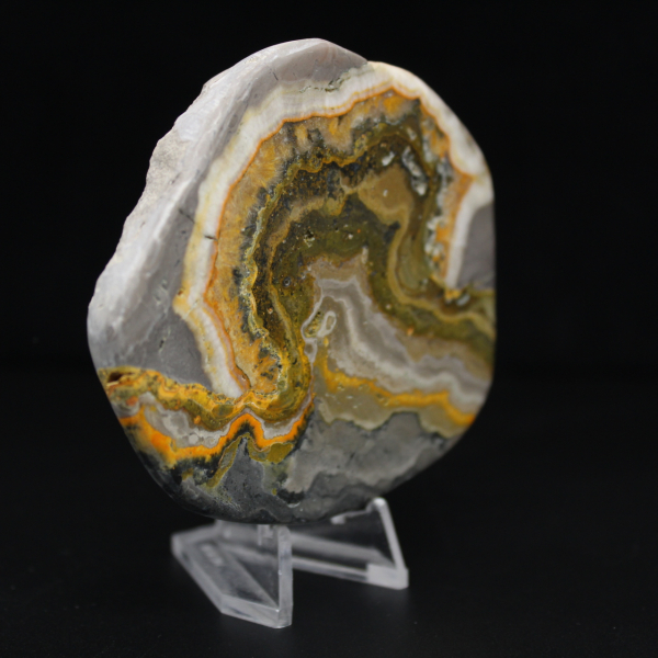 Polierte Jaspis-Hummel-Ornament, Indonesien, selten