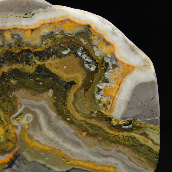 Polierte Jaspis-Hummel-Ornament, Indonesien, selten