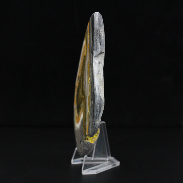 Polierter Hummeljaspis – Gesteinskunde