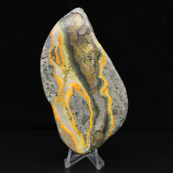 Polierter Hummeljaspis, seltenes Exemplar aus Indonesien