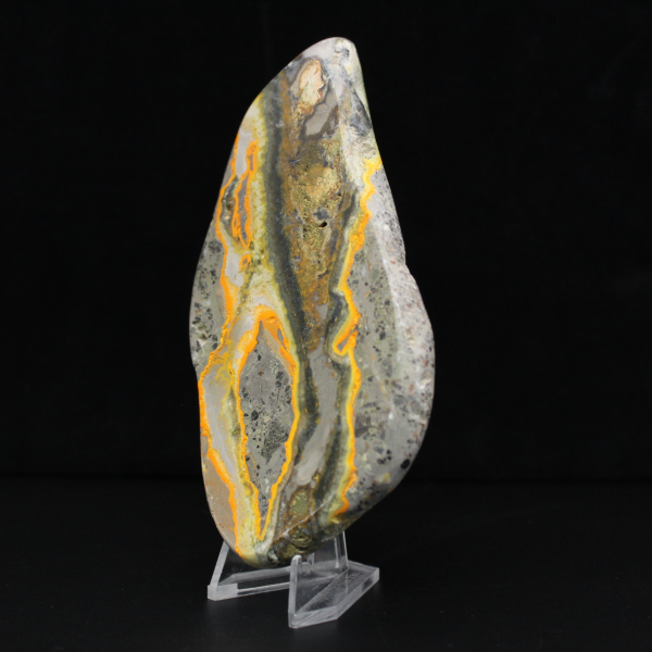 Polierter Hummeljaspis, seltenes Exemplar aus Indonesien