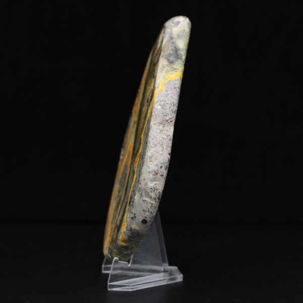 Polierter Hummeljaspis, seltenes Exemplar aus Indonesien