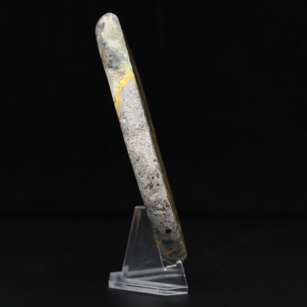 Polierter Hummeljaspis, seltenes Exemplar aus Indonesien