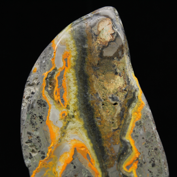 Polierter Hummeljaspis, seltenes Exemplar aus Indonesien