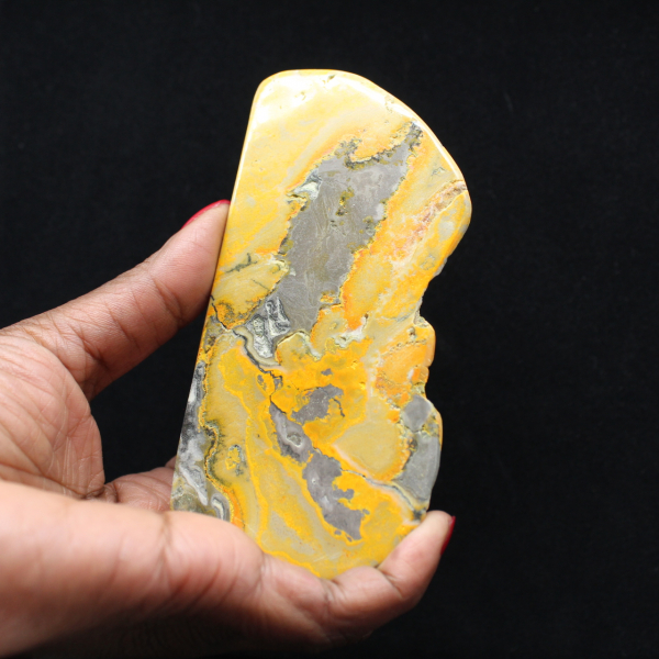 Großer polierter Jaspis-Hummel-Anhänger