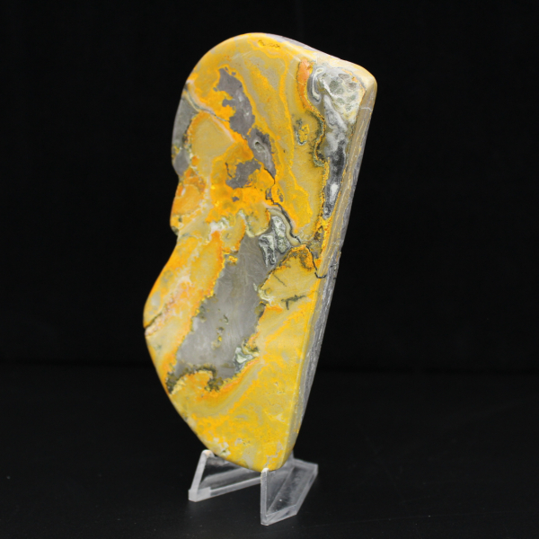 Großer polierter Jaspis-Hummel-Anhänger