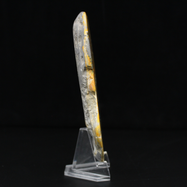 Großer polierter Jaspis-Hummel-Anhänger