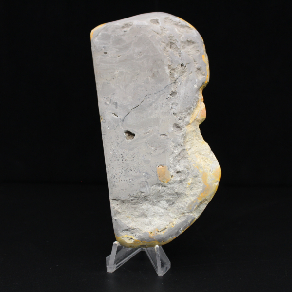 Großer polierter Jaspis-Hummel-Anhänger