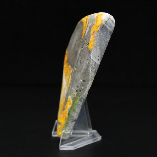 Kleine polierte Jaspis-Hummel-Kollektionsdekoration