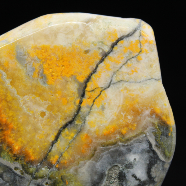 Kompaktes Hummeljaspis-Ornament