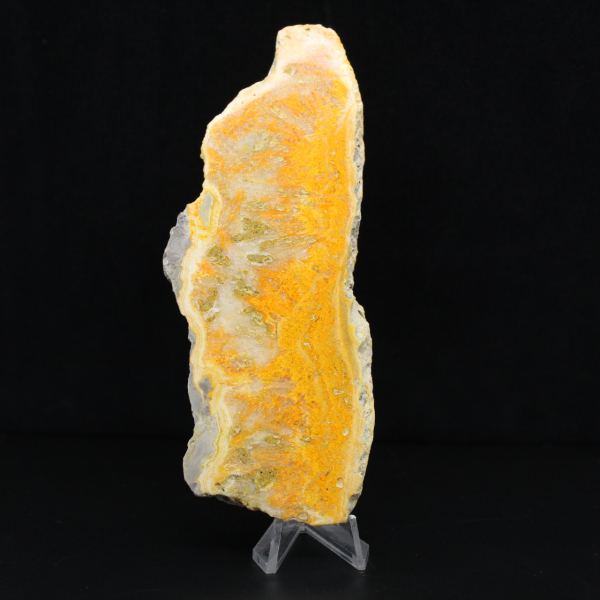 Polierte Scheibe indonesischen Hummeljaspis.