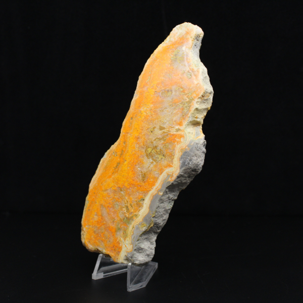 Polierte Scheibe indonesischen Hummeljaspis.