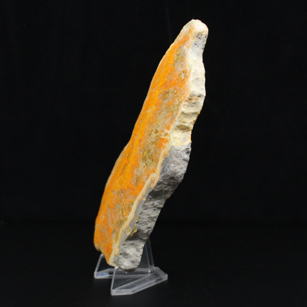 Polierte Scheibe indonesischen Hummeljaspis.