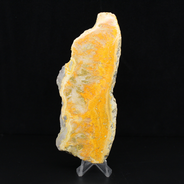 Polierte Scheibe indonesischen Hummeljaspis.