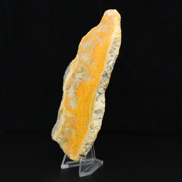 Polierte Scheibe indonesischen Hummeljaspis.