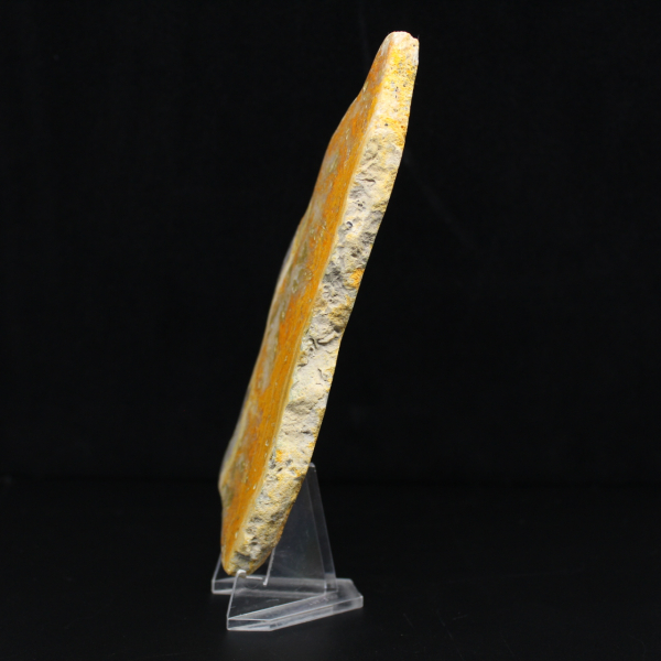 Polierte Scheibe indonesischen Hummeljaspis.