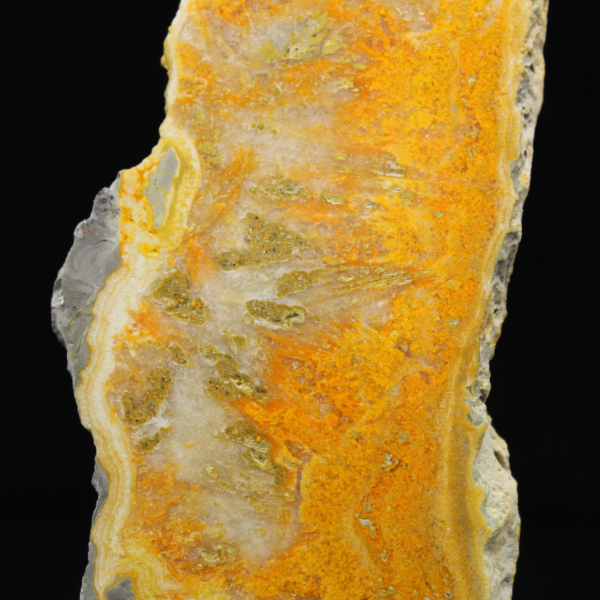 Polierte Scheibe indonesischen Hummeljaspis.