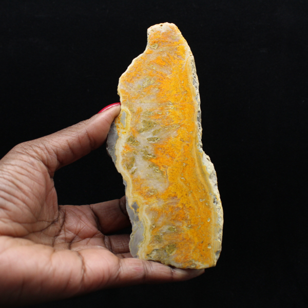 Polierte Scheibe indonesischen Hummeljaspis.