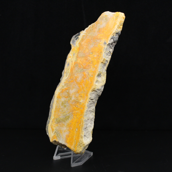 Dicke Scheibe indonesischer Hummeljaspis