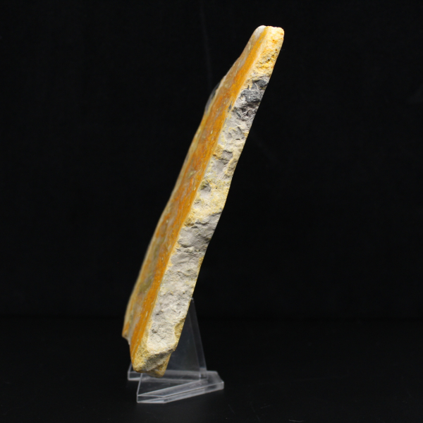 Dicke Scheibe indonesischer Hummeljaspis