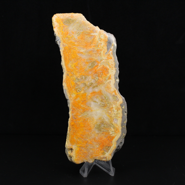 Dicke Scheibe indonesischer Hummeljaspis