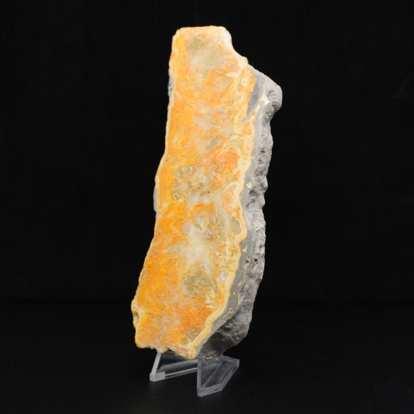 Dicke Scheibe indonesischer Hummeljaspis