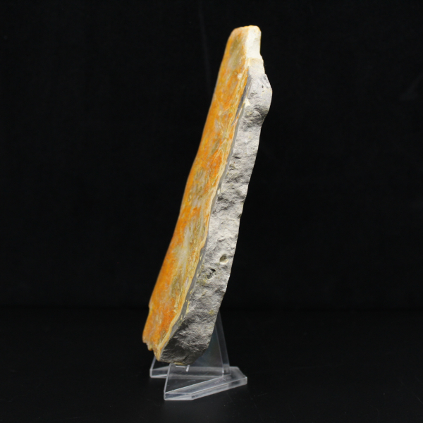 Dicke Scheibe indonesischer Hummeljaspis