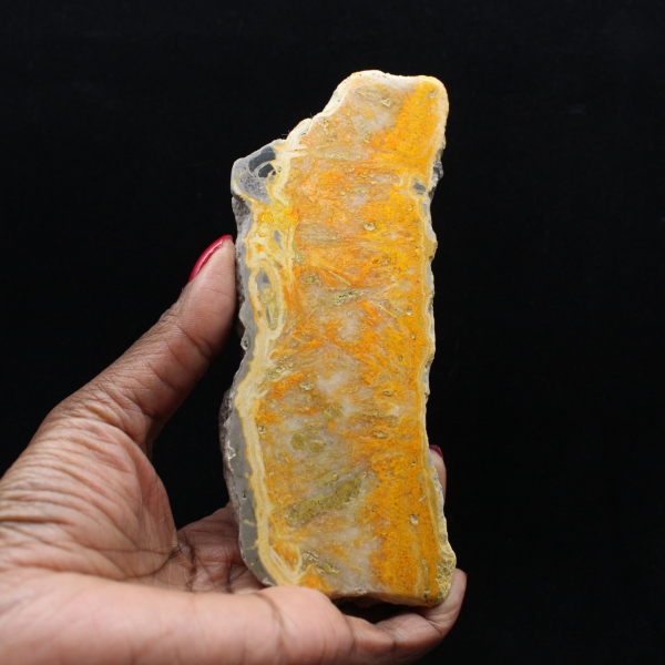 Dicke Scheibe indonesischer Hummeljaspis