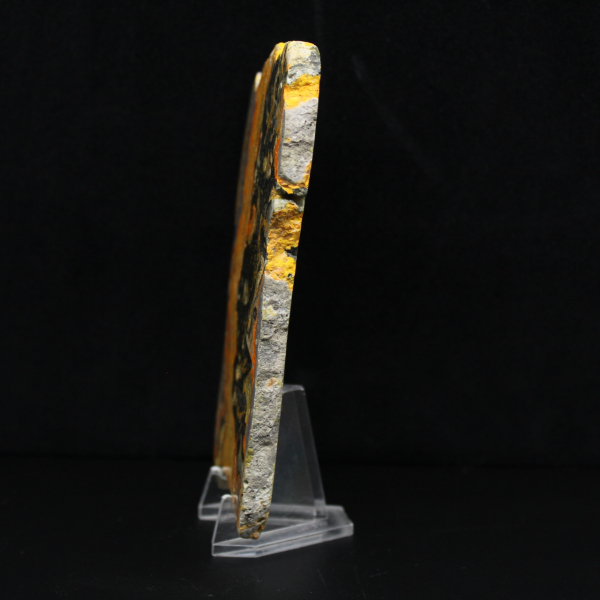 Polierte längliche Scheibe aus Hummeljaspis